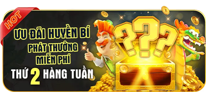 Hướng dẫn khuyến mãi vipvin