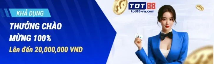 Lịch sử và tầm nhìn phát triển của VIPVIN